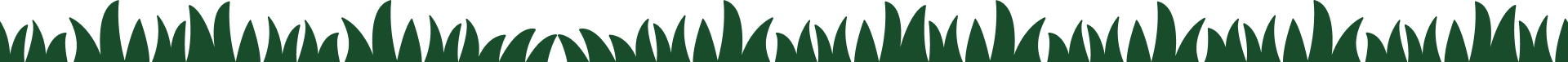 shape 1