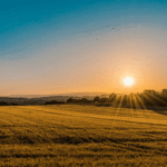 I Never Thought of It That Way: Getting Back to Nature on the Farm